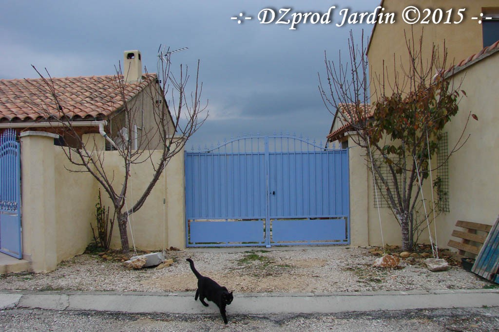 Cerisiers - DZprod Jardin - 05 décembre 2015