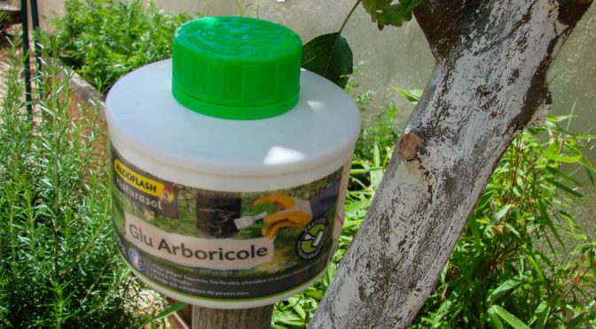 Glu Arboricole en pot Algoflash - DZprod Jardin - 17 juin 2016