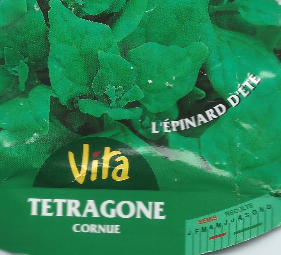 Tétragone (épinard d’été)