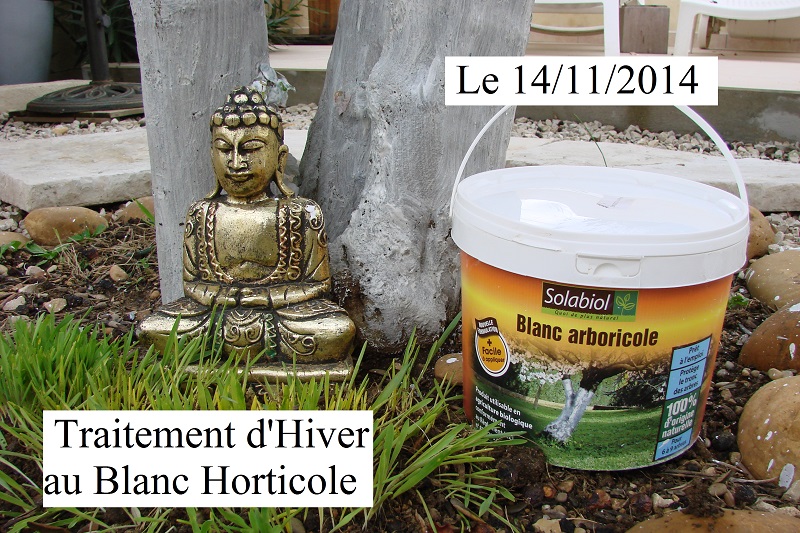 Traitement Hiver Blanc arboricole au 14/11/2014