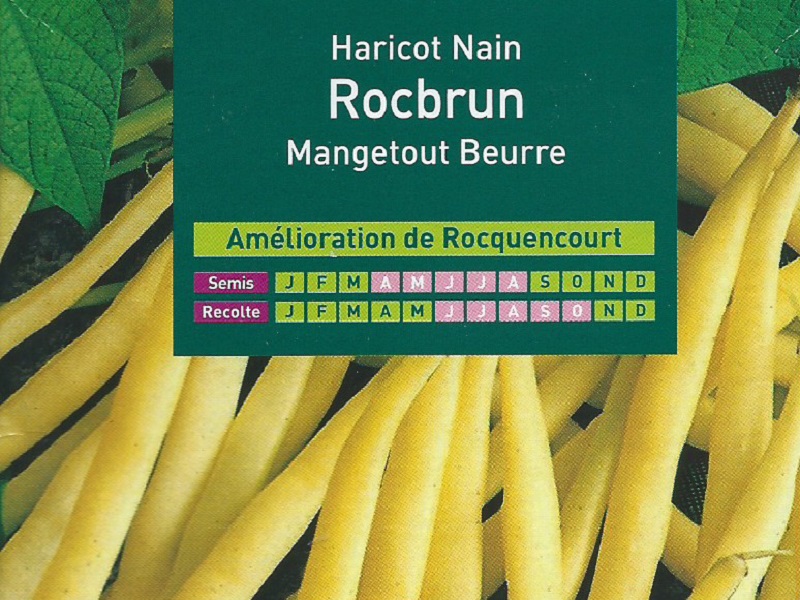 Haricot Nain Rocbrun Mangetout Beurre