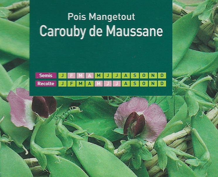 Pois Mangetout Carouby de Mausanne