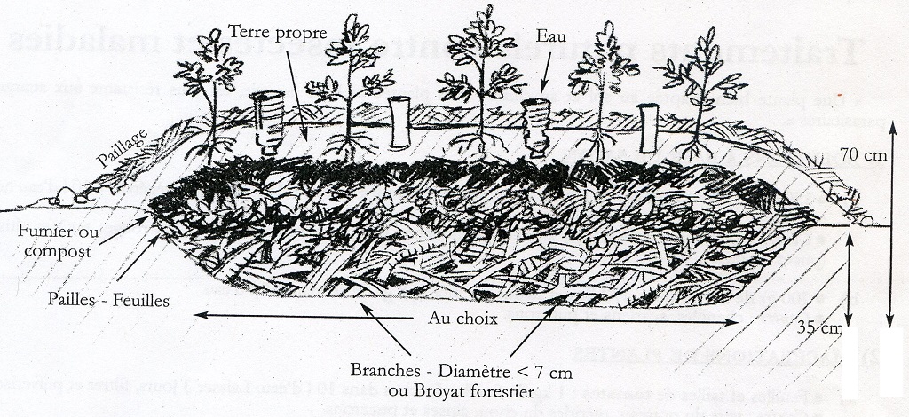 Schéma de la butte en permaculture