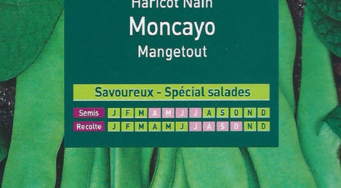 Haricot Nain MONCAYO Mangetout