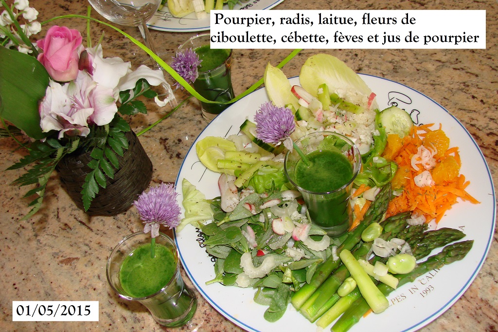 Salade de pourpier du premier mai 01-05-2015