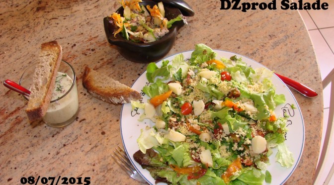 DZprod - Salade fleur de courgette du 08-07-2015