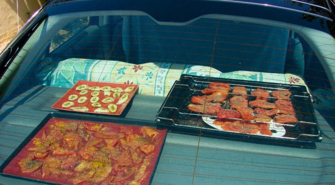 Séchage des Tomate en voiture - DZprod Jardin - 19 juillet 2015