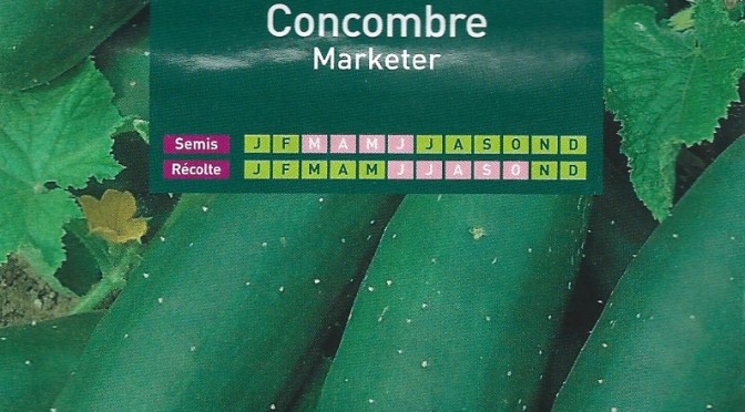 Concombre Marketer