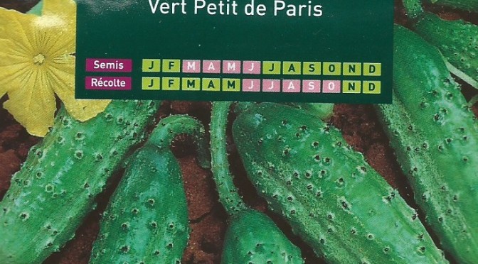 Cornichon Vert Petit de Paris