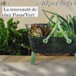 Kajo® Nouveauté Pouss' Vert - DZprod Jardin - 26 mars 2016