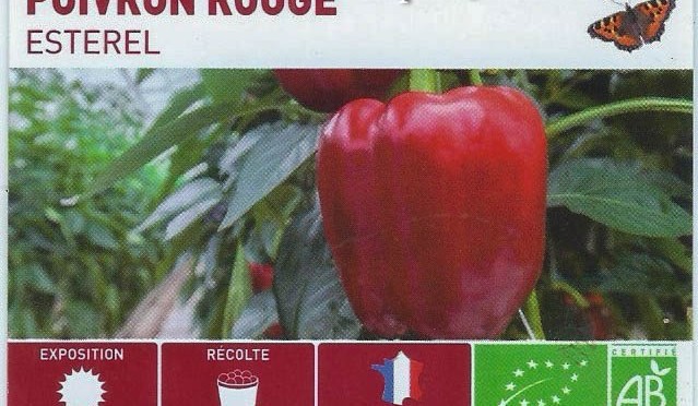 Poivron rouge Esterel - DZprod Jardin