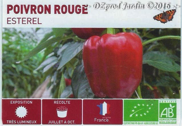 Poivron rouge Esterel - Les jardins de DZprod