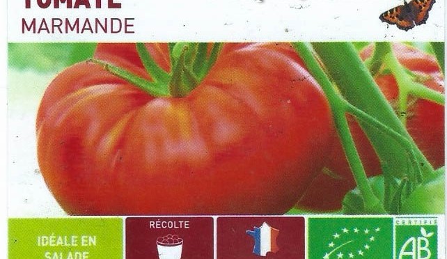 Tomate Marmande - DZprod Jardin