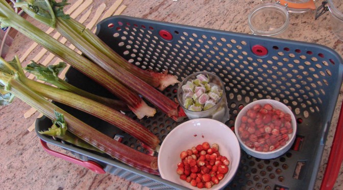 Tarte rhubarbe et fraises des bois