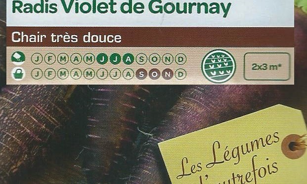 Radis Violet de Gournay