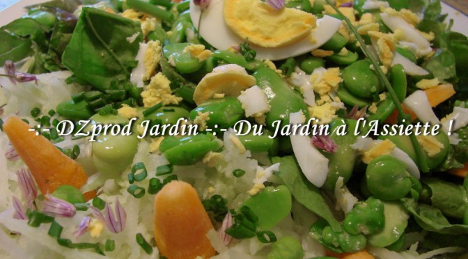 Salade composée 100% du Jardin- DZprod Jardin - 10 mai 2016
