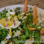 Une salade 0% carbone - DZprod Jardin - 10 mai 2016