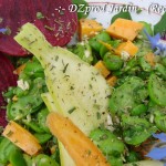 Macro Salade Fève et fleur de bourrache - DZprod Jardin - 10 juin 2016