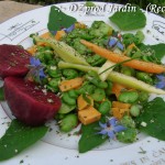 Salade Fève - DZprod Jardin - 10 juin 2016