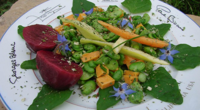Quelques feuilles d’épinards dans la salade : Un délice !