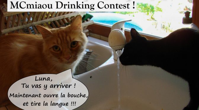 MCmiaou lesson for a drinking contest