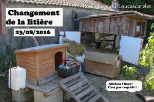 Nettoyage et changement de litière des poulaillers du Loucascarelet - 23 août 2016