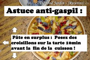 Astuce pour le Surplus de pâte à tarte - DZprod Recette - 29 août 2016