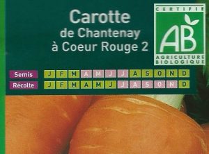 carotte-de-chantenay-a-coeur-rouge-2