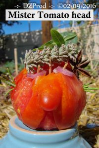 mister-tomato-head-the-gardener-dzprod-jardin-02-septembre-2016