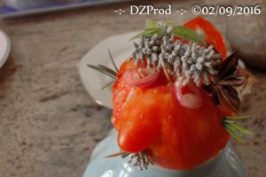 pas-de-salade-de-tomate-pour-moi-merci-dzprod-jardin-02-septembre-2016