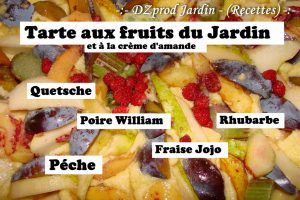 tarte amandine aux fruits du jardin - DZprod Recette - 29 août 2016