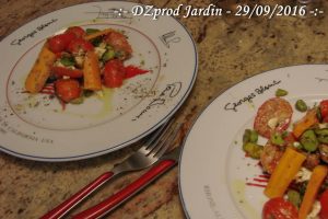 salade-a-la-marocaine-dzprod-jardin-29-septembre-2016