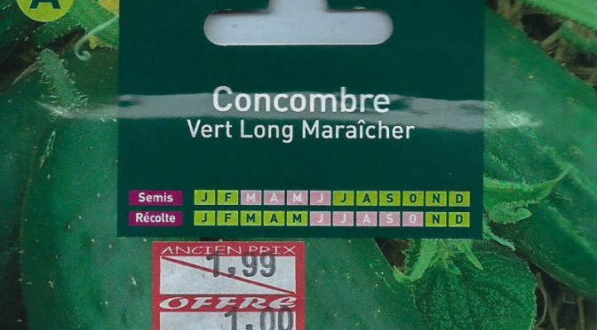 Concombre Vert Long Maraîcher