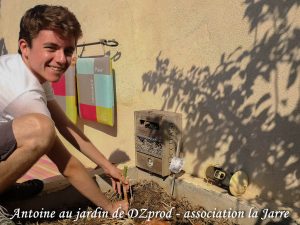 Antoine transplante les échalote Elisor - DZprod Jardin
