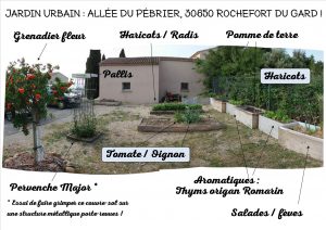 Jardin Urbain - allée du Pébrier - Rochefort du Gard - au 02 juin 2017 - n1