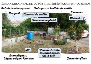 Jardin Urbain - allée du Pébrier - Rochefort du Gard - au 02 juin 2017 - n2