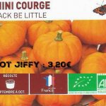 Mini courge jack be little - botanic® - dzprod jardin