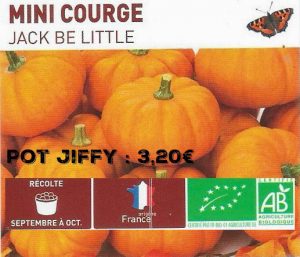 Mini courge jack be little - botanic® - dzprod jardin