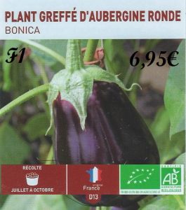 Plant greffé aubergine ronde F1 - botanic® - dzprod jardin