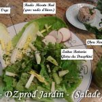 Salade DZprod Jardin du 25-12-2016