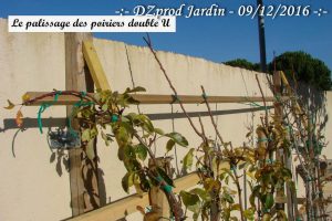 haut du palissage des poiriers double u - DZprod Jardin - 09 décembre 2016