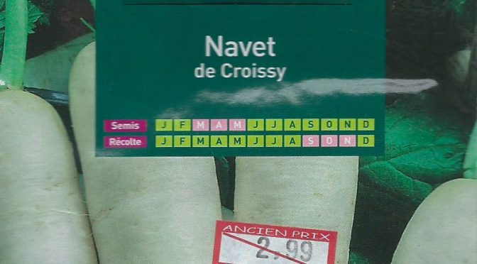 Navet de Croissy