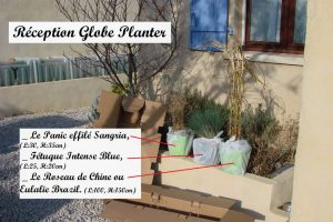 Réception Globe Planter - panic effile - fétuque - roseau de chine - 23-02-2017