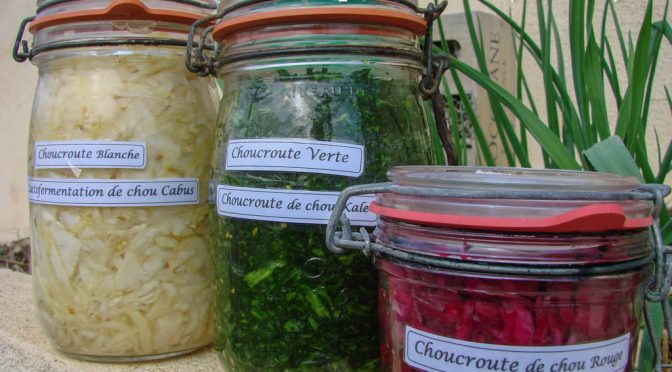 Choux fermentés - cabus - Kale -rouge (Atelier cuicine Asso La Jarre)