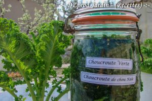La choucroute verte - Association La Jarre (Atelier cuisine)