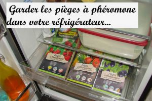 Garder les pièges à phéromone au réfrigérateur