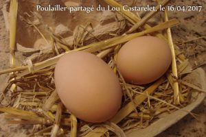 oeuf de pâques - 85g - poulailler partagé - La JARRE - 16-04-2017