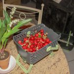 Petit Kajo pour des récoltes au jour le jour - 01-05-2017