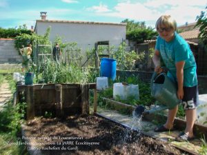Jules semis haricot Soissons à écosser - bande B Loucascarelet - 10-05-2018