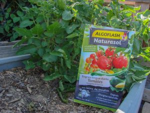 Algoflash Naturasol - Engrais longue durée Tomates Courgettes Poivrons - dzprod Jardin